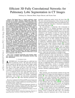 Efficient 3D Fully Convolutional Networks for Pulmonary Lobe
  Segmentation in CT Images