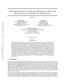 Towards Efficient and Secure Delivery of Data for Deep Learning with
  Privacy-Preserving