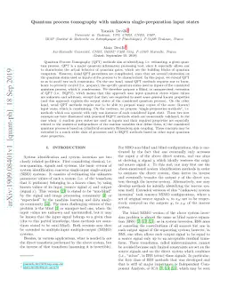 Quantum process tomography with unknown single-preparation input states