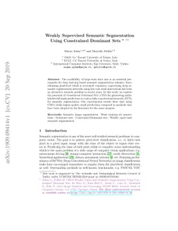Weakly Supervised Semantic Segmentation Using Constrained Dominant Sets