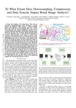 To What Extent Does Downsampling, Compression, and Data Scarcity Impact
  Renal Image Analysis?