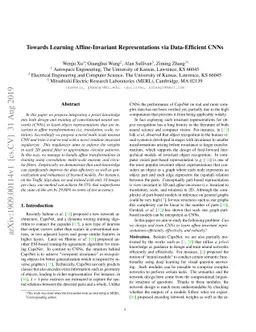 Towards Learning Affine-Invariant Representations via Data-Efficient
  CNNs