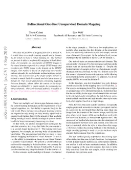 Bidirectional One-Shot Unsupervised Domain Mapping
