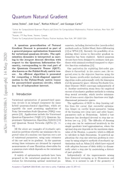 Quantum Natural Gradient