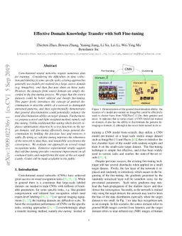 Effective Domain Knowledge Transfer with Soft Fine-tuning