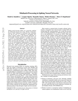 Minibatch Processing in Spiking Neural Networks