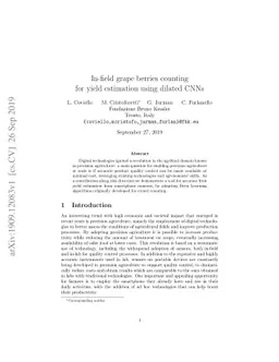 In-field grape berries counting for yield estimation using dilated CNNs