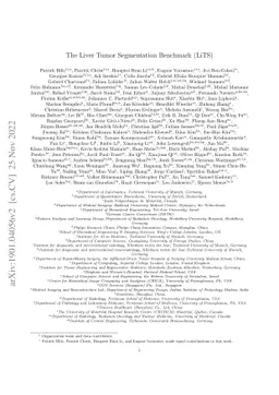 The Liver Tumor Segmentation Benchmark (LiTS)