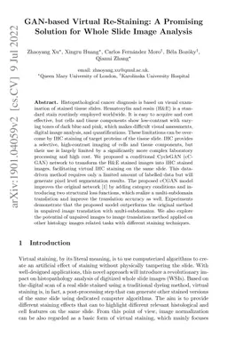 GAN-based Virtual Re-Staining: A Promising Solution for Whole Slide
  Image Analysis