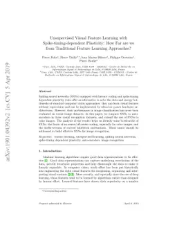 Unsupervised Visual Feature Learning with Spike-timing-dependent
  Plasticity: How Far are we from Traditional Feature Learning Approaches?