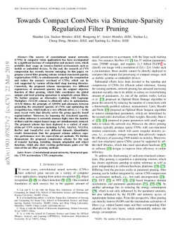Towards Compact ConvNets via Structure-Sparsity Regularized Filter
  Pruning