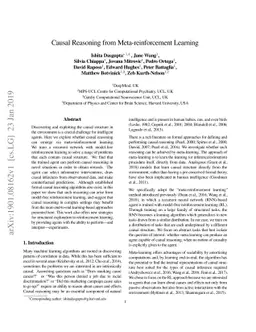 Causal Reasoning from Meta-reinforcement Learning