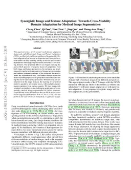Synergistic Image and Feature Adaptation: Towards Cross-Modality Domain
  Adaptation for Medical Image Segmentation