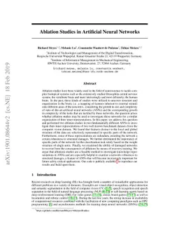 Ablation Studies in Artificial Neural Networks