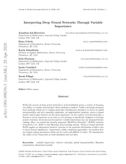 Interpreting Deep Neural Networks Through Variable Importance