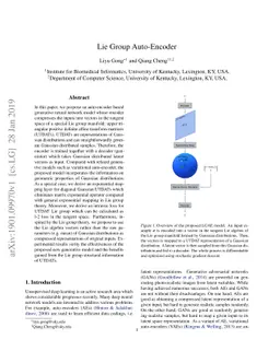 Lie Group Auto-Encoder