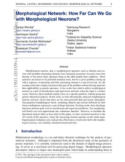 Morphological Network: How Far Can We Go with Morphological Neurons?