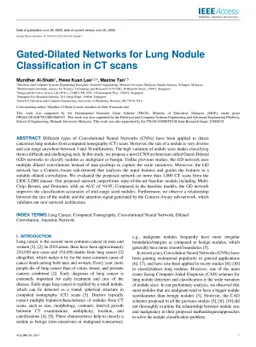 Gated-Dilated Networks for Lung Nodule Classification in CT scans