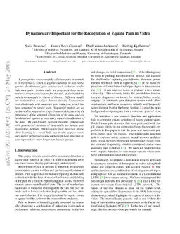 Dynamics are Important for the Recognition of Equine Pain in Video