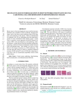 Multi-Level Batch Normalization In Deep Networks For Invasive Ductal
  Carcinoma Cell Discrimination In Histopathology Images