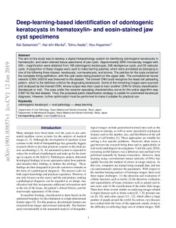 Deep-learning-based identification of odontogenic keratocysts in
  hematoxylin- and eosin-stained jaw cyst specimens