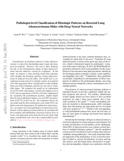 Pathologist-level classification of histologic patterns on resected lung
  adenocarcinoma slides with deep neural networks