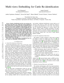 Multi-views Embedding for Cattle Re-identification