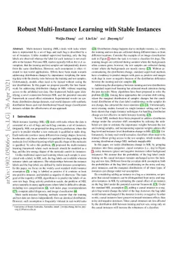 Robust Multi-instance Learning with Stable Instances
