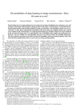 On instabilities of deep learning in image reconstruction - Does AI come
  at a cost?
