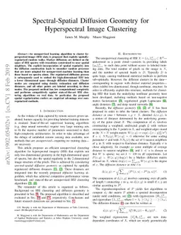 Spectral-Spatial Diffusion Geometry for Hyperspectral Image Clustering