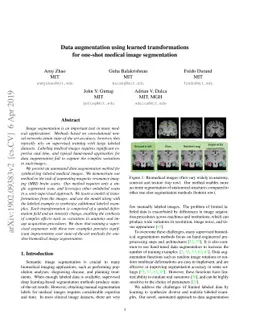 Data augmentation using learned transformations for one-shot medical
  image segmentation