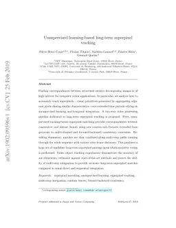 Unsupervised learning-based long-term superpixel tracking