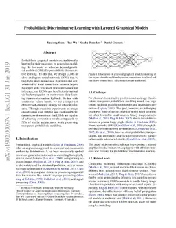 Probabilistic Discriminative Learning with Layered Graphical Models