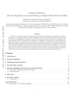 Passed & Spurious: Descent Algorithms and Local Minima in Spiked
  Matrix-Tensor Models