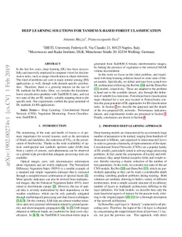 Deep Learning Solutions for TanDEM-X-based Forest Classification