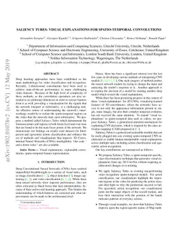 Saliency Tubes: Visual Explanations for Spatio-Temporal Convolutions