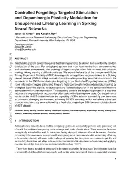 Controlled Forgetting: Targeted Stimulation and Dopaminergic Plasticity
  Modulation for Unsupervised Lifelong Learning in Spiking Neural Networks
