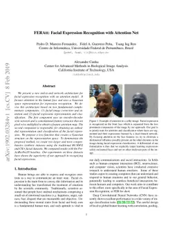 FERAtt: Facial Expression Recognition with Attention Net