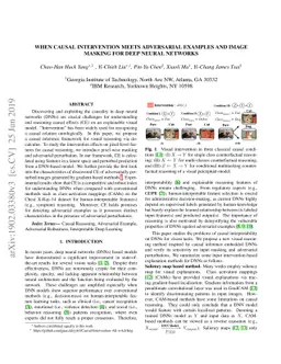 When Causal Intervention Meets Adversarial Examples and Image Masking
  for Deep Neural Networks
