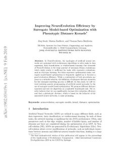 Improving NeuroEvolution Efficiency by Surrogate Model-based
  Optimization with Phenotypic Distance Kernels
