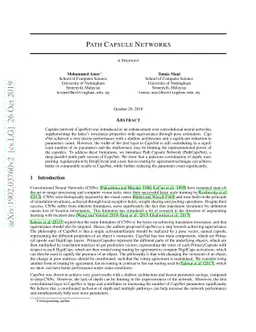 Path Capsule Networks