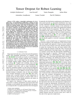 Tensor Dropout for Robust Learning