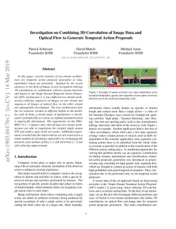 Investigation on Combining 3D Convolution of Image Data and Optical Flow
  to Generate Temporal Action Proposals