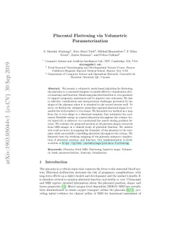 Placental Flattening via Volumetric Parameterization