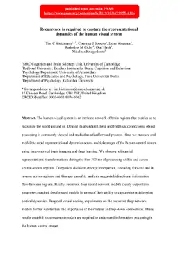 Recurrence is required to capture the representational dynamics of the
  human visual system
