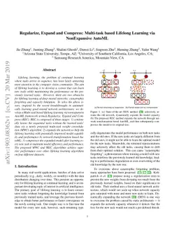 Regularize, Expand and Compress: Multi-task based Lifelong Learning via
  NonExpansive AutoML