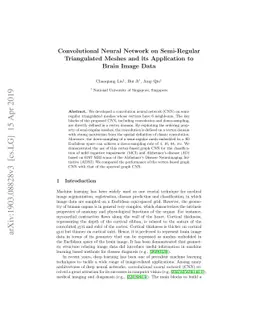 Convolutional Neural Network on Semi-Regular Triangulated Meshes and its
  Application to Brain Image Data