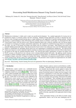 Overcoming Small Minirhizotron Datasets Using Transfer Learning
