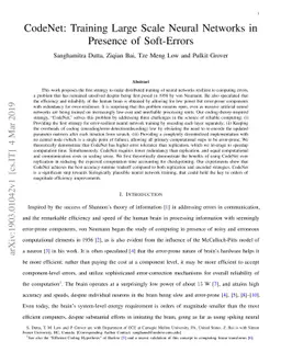 CodeNet: Training Large Scale Neural Networks in Presence of Soft-Errors