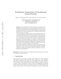 Evolutionary Construction of Convolutional Neural Networks
